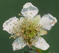 Bild24