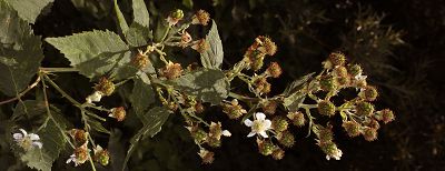 Bild14